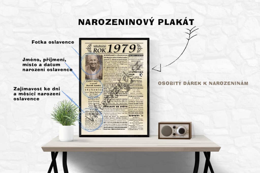 narozeninový plakát originální dárek k narozeninám